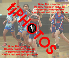 Load image into Gallery viewer, Addison Davies Iramoo Winter 2024 Game Photo Catalogue