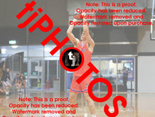 Load image into Gallery viewer, Liam Huntington Westgate Game Photo Catalogue