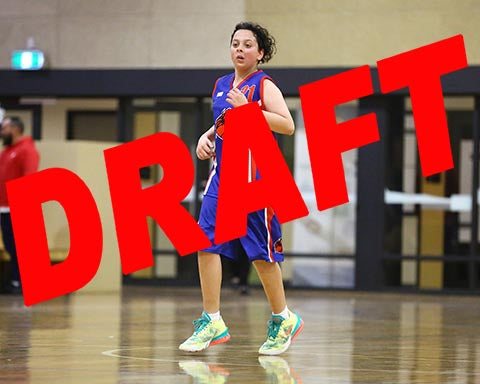 Quasahr Toa Temarama Iramoo Game Photo Catalogue