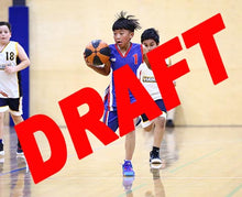 Load image into Gallery viewer, Tyler Mantua Iramoo Game Photo Catalogue