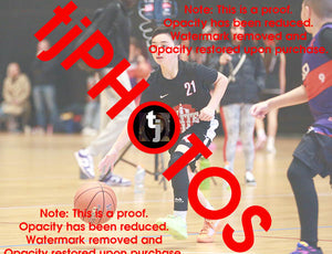 Alexander Berkis AAU Game Photo Catalogue