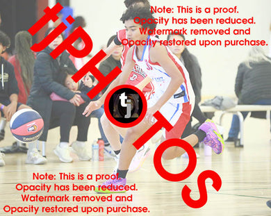 Blaze Nelson AAU Game Photo Catalogue
