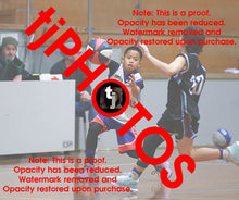 Load image into Gallery viewer, Kai Porto Westgate Game Photo Catalogue