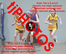 Load image into Gallery viewer, Miriam Foster Westgate Game Photo Catalogue