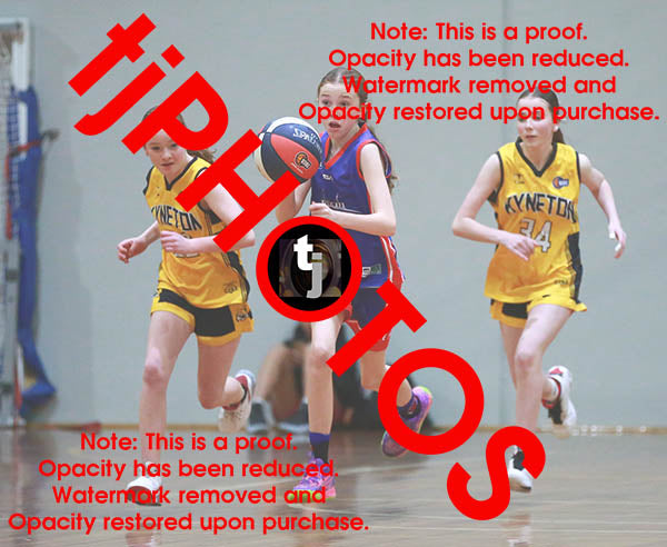 Miriam Foster Westgate Game Photo Catalogue