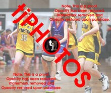 Load image into Gallery viewer, Miriam Foster Westgate Game Photo Catalogue