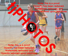 Load image into Gallery viewer, Miriam Foster Westgate Game Photo Catalogue