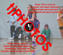 Load image into Gallery viewer, Miriam Foster Westgate Game Photo Catalogue