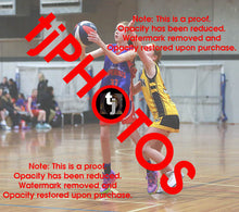 Load image into Gallery viewer, Miriam Foster Westgate Game Photo Catalogue