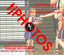 Load image into Gallery viewer, Indi Cunningham Iramoo Winter 2024 Game Photo Catalogue