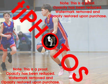 Load image into Gallery viewer, Harry Lawson Westgate Game Photo Catalogue