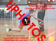 Load image into Gallery viewer, Harry Lawson Westgate Game Photo Catalogue