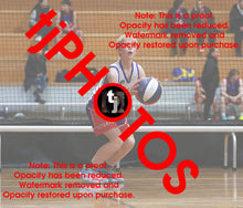 Load image into Gallery viewer, Alastair Carter Westgate Game Photo Catalogue