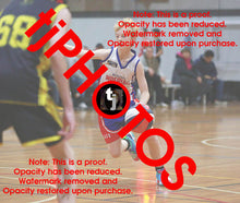 Load image into Gallery viewer, Alastair Carter Westgate Game Photo Catalogue