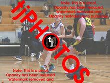 Load image into Gallery viewer, Alastair Carter Westgate Game Photo Catalogue
