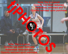 Load image into Gallery viewer, Alastair Carter Westgate Game Photo Catalogue