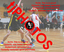 Load image into Gallery viewer, Alastair Carter Westgate Game Photo Catalogue