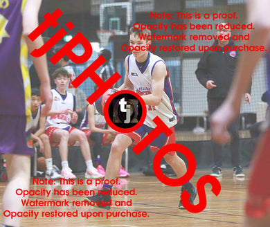 Thomas Colvin Westgate Game Photo Catalogue