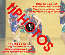 Load image into Gallery viewer, Sam Warren Iramoo Winter 2024 Game Photo Catalogue