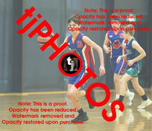 Load image into Gallery viewer, Sam Warren Iramoo Winter 2024 Game Photo Catalogue