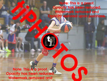 Load image into Gallery viewer, James Brady Westgate Game Photo Catalogue