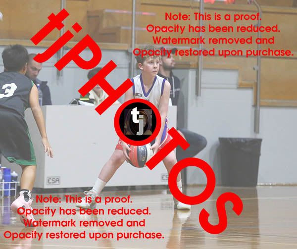 Owen Elliott Westgate Game Photo Catalogue