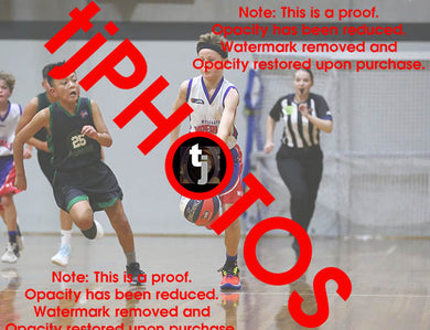 Angus Retallick Westgate Game Photo Catalogue