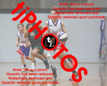 Load image into Gallery viewer, Angus Retallick Westgate Game Photo Catalogue