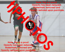 Load image into Gallery viewer, Owen Elliott Westgate Game Photo Catalogue