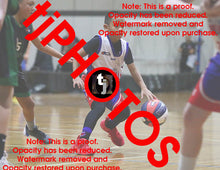 Load image into Gallery viewer, Kai Porto Westgate Game Photo Catalogue