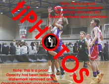 Load image into Gallery viewer, James Brady Westgate Game Photo Catalogue