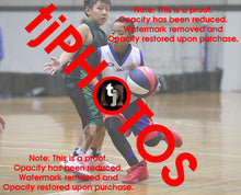 Load image into Gallery viewer, Kai Porto Westgate Game Photo Catalogue