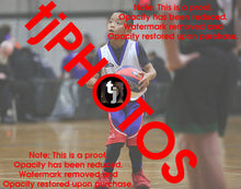 Load image into Gallery viewer, Kai Porto Westgate Game Photo Catalogue