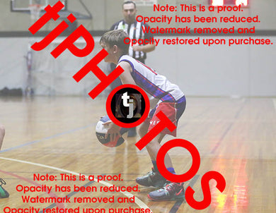 Joshua McLeod Westgate Game Photo Catalogue