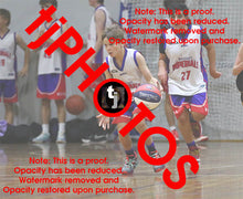 Load image into Gallery viewer, Joshua McLeod Westgate Game Photo Catalogue