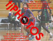 Load image into Gallery viewer, Amari Binnie Westgate Game Photo Catalogue