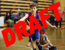 Load image into Gallery viewer, Myles Dyson Iramoo Game Photo Catalogue