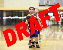 Load image into Gallery viewer, Myles Dyson Iramoo Game Photo Catalogue