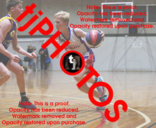 Load image into Gallery viewer, Alastair Carter Westgate Game Photo Catalogue