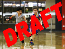 Load image into Gallery viewer, Myles Dyson Iramoo Game Photo Catalogue