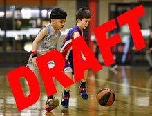 Load image into Gallery viewer, Myles Dyson Iramoo Game Photo Catalogue