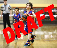 Load image into Gallery viewer, Myles Dyson Iramoo Game Photo Catalogue