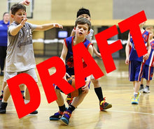 Load image into Gallery viewer, Myles Dyson Iramoo Game Photo Catalogue