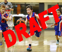 Load image into Gallery viewer, Myles Dyson Iramoo Game Photo Catalogue