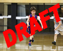 Load image into Gallery viewer, Myles Dyson Iramoo Game Photo Catalogue