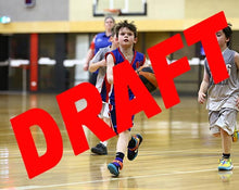 Load image into Gallery viewer, Myles Dyson Iramoo Game Photo Catalogue