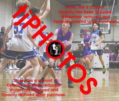 Joshua Casement Westgate Game Photo Catalogue