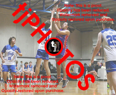 Rehia Hei Hei Howard Westgate Game Photo Catalogue