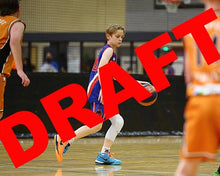 Load image into Gallery viewer, Nash Jolley Game Photo Catalogue