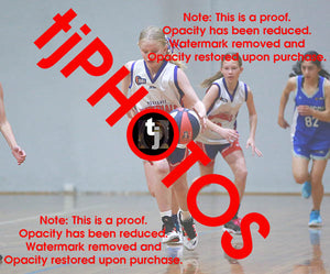 Freya Morris Westgate Game Photo Catalogue